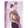 The Male Muse Livre photo INSPIRO n°3